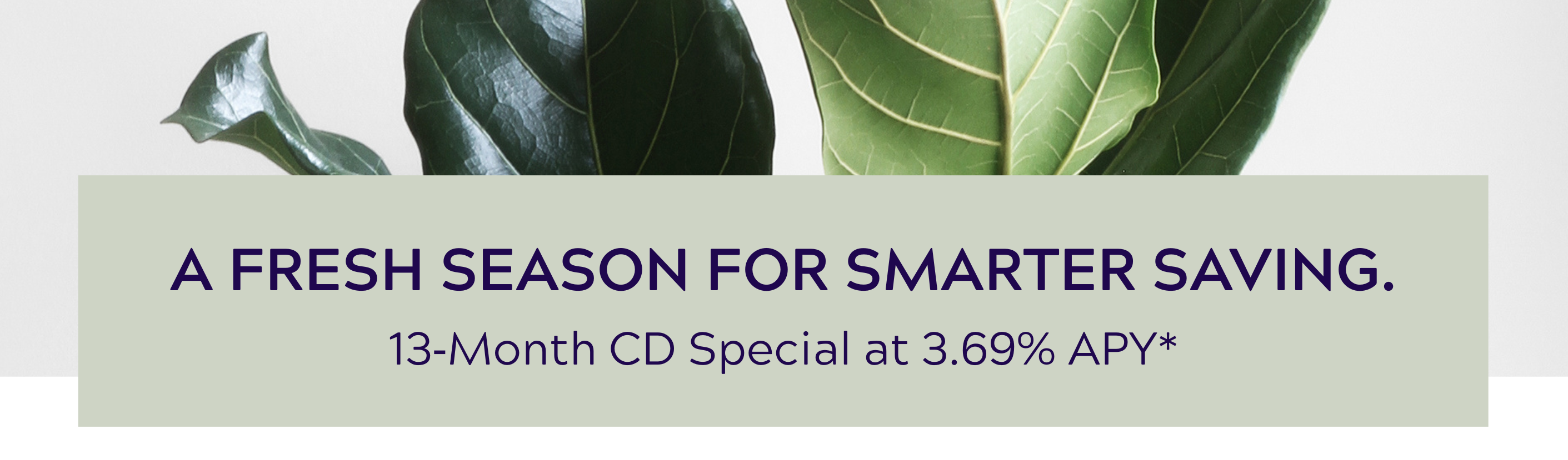 Open a new CD with a 13-mth special at 3.69%