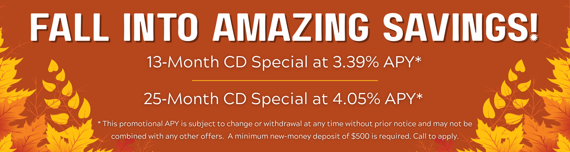 cd specials new money only